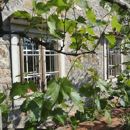 A Lovely House In Vipava Valley מראה חיצוני תמונה