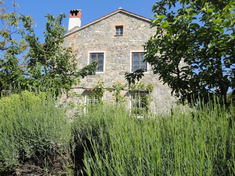 A Lovely House In Vipava Valley מראה חיצוני תמונה