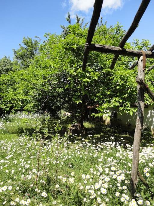 A Lovely House In Vipava Valley מראה חיצוני תמונה