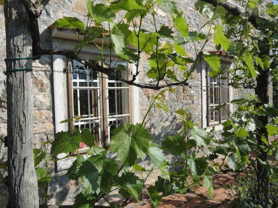 A Lovely House In Vipava Valley מראה חיצוני תמונה