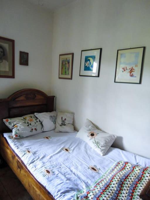 A Lovely House In Vipava Valley מראה חיצוני תמונה