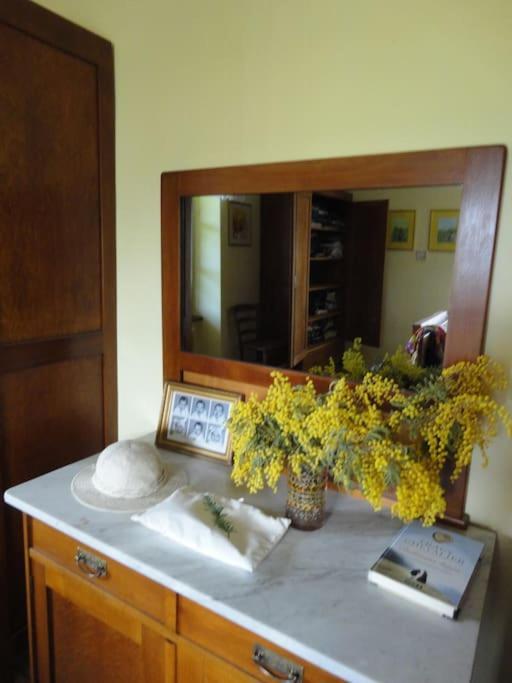 A Lovely House In Vipava Valley מראה חיצוני תמונה